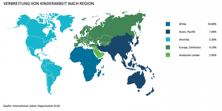 Professional Organizer Near Me Expert Guidance for a Clutter-Free Life